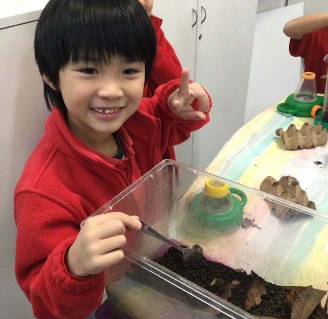 /uploaded_files/media/gallery/1763346259Screenshot 2025-11-17 132236.png